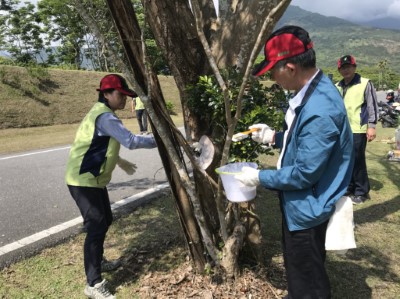 林管處黃碧雲秘書及台糖林祥禎經理與參加民眾共同將光蠟樹的病枝、不良枝進行修剪、鬆土，並將根部腐朽部位清創殺菌施作隔離防護 (2)